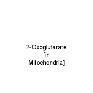 2-Oxoglutarate [in Mitochondria]